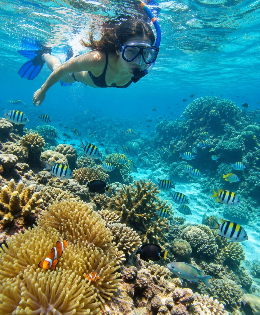 Snorkeling